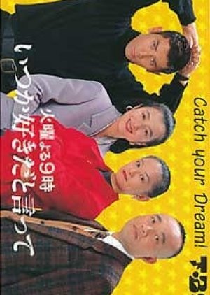 Itsuka Sukida to Itte 1993