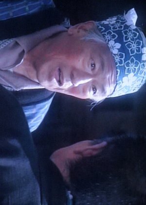 Ko Kyoto Mystery 11: Iyo Yume Shibai Satsujin Jiken 1994