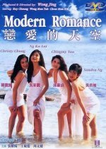 Modern Romance (1994) photo