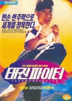 Taekwon Fighters 1995