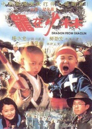 Dragon From Shaolin 1996