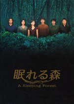 A Sleeping Forest (1998) photo