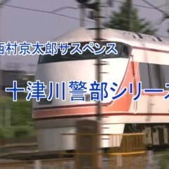 Totsugawa Keibu Series 17: Echigo Aizu Satsujin Route (1999) photo
