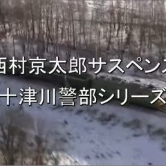 Totsugawa Keibu Series 18: Siberia Tetsudo Satsujin Jiken (1999) photo