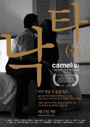 Camel(s) 2001