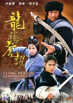 Flying Dragon, Leaping Tiger (2002) photo
