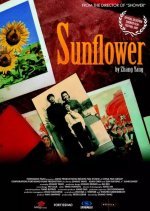 Sunflower (2005) photo