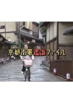 Kyoto Minami-sho Kanshiki File 2: Sukima Wazuka 10 cm - Shitai ga Mado wo Torinuketa