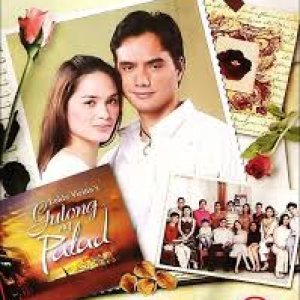 Gulong ng Palad (2006)