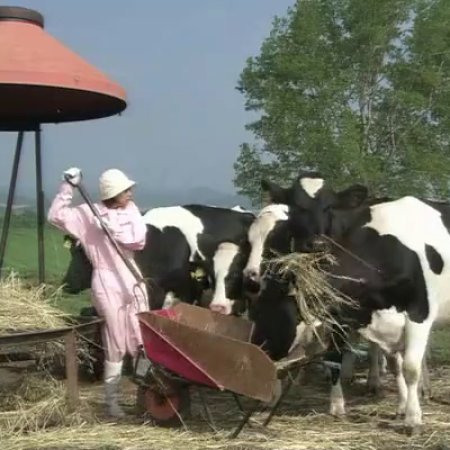 Ushi ni Negai wo: Love and Farm (2007)