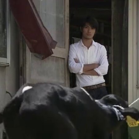 Ushi ni Negai wo: Love and Farm (2007)