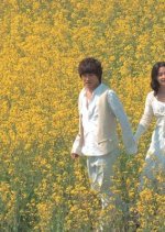 Flowers for My Life (2007) photo