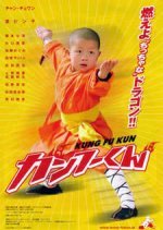 Kung Fu Kid (2008) photo