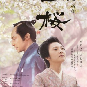 Yamazakura, The Cherry Tree in the Hills (2008)