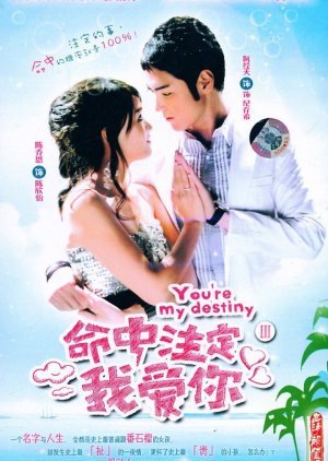 Fated to Love You 2008