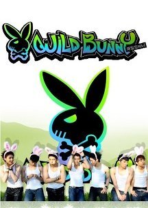 Wild Bunny 2009