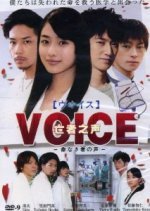 Voice (2009) photo