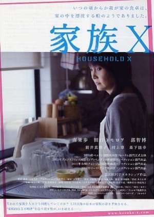 Household X 2010