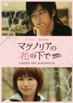 Under the Magnolia (2010) photo