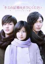 Kimi no Kioku wo Boku ni Kudasai (2010) photo