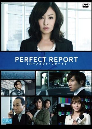 Perfect Report 2010