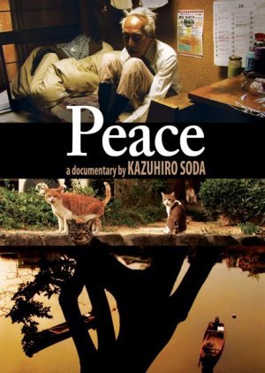 Peace 2010