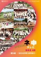 AKB48 Nemousu TV: Extra 2010