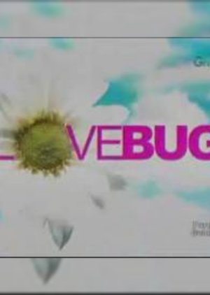 Love Bug 2010