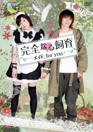 Perfect Education 7: Maid for You 2010