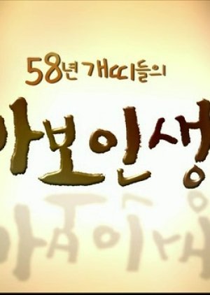 MBC 스페셜 다큐 - 58년 개띠들의 바보인생
