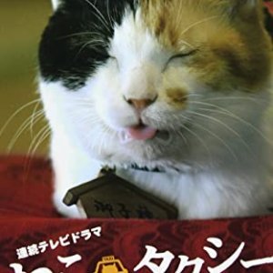 Cat Taxi (2010)