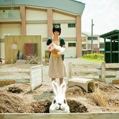 Rabbit Horror 3D (2011) photo