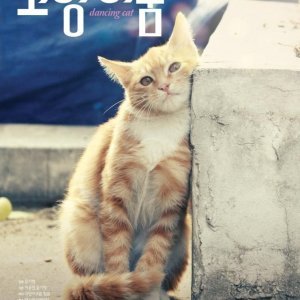 Dancing Cat (2011)