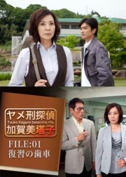 Touko Kagami Detective File FILE:01