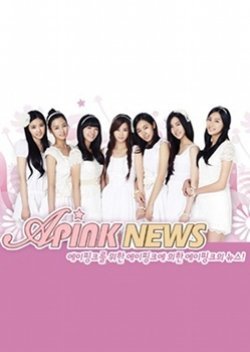 Apink News: Season 1 2011