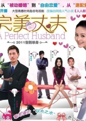 A Perfect Husband 2011