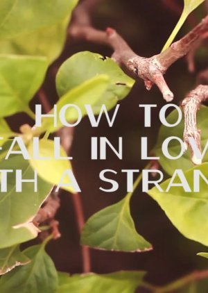 How To Fall In Love With A Stranger