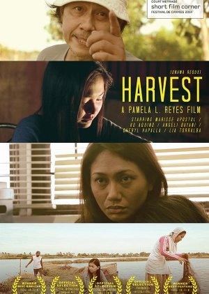 Harvest 2012