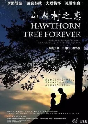 Hawthorn Tree Forever 2012