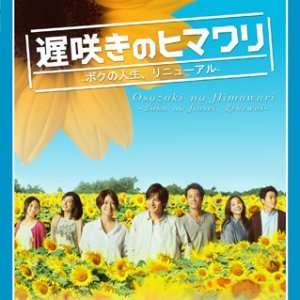 Osozaki no Himawari (2012)