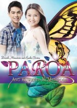Paroa: The Story of Mariposa