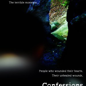 Confessions (2013)