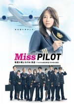Miss Pilot (2013) photo