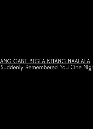 I Suddenly Remembered You One Night 2013