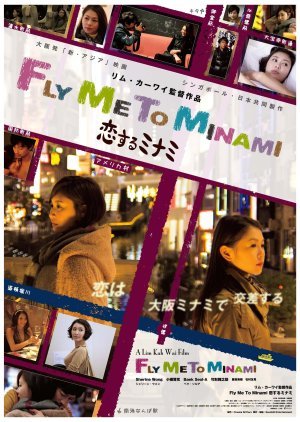 Fly Me to Minami 2013