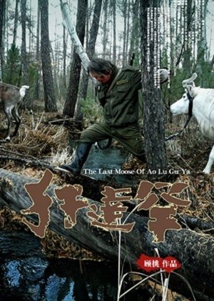 The Last Moose of Aoluguya 2013