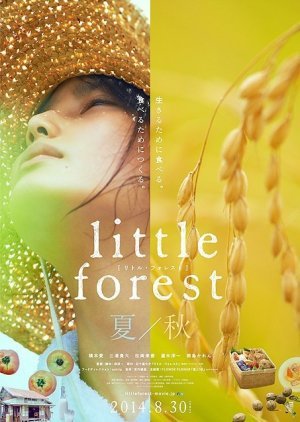 Little Forest: Summer & Autumn 2014