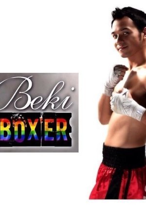 Beki Boxer 2014