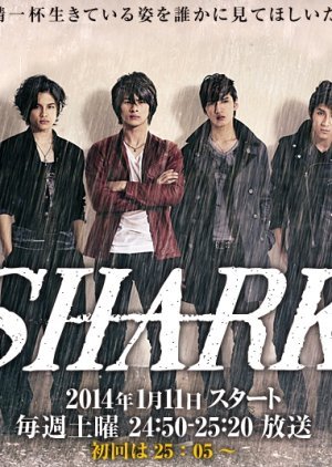 SHARK 2014