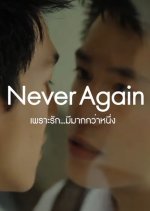 Never Again (2014) photo